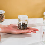 Lot de 12 Récipients Hermétiques en Verre 100 ml