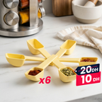 Set de 6 cuillères en plastique pour épices